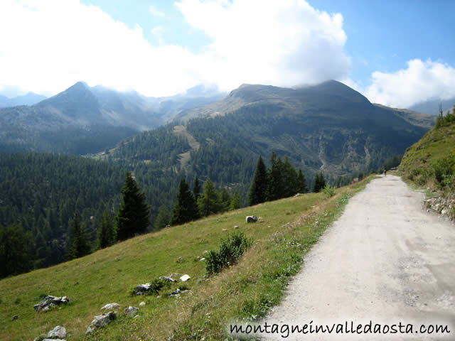 rifugio dondena
